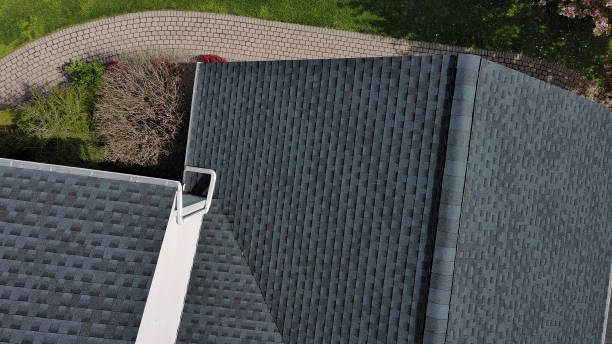 Best Asphalt Shingle Roofing  in Jonesville, MI