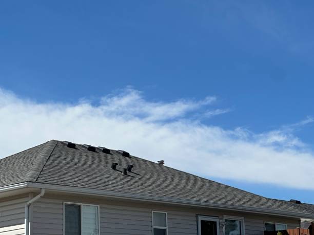 Best Steel Roofing  in Jonesville, MI